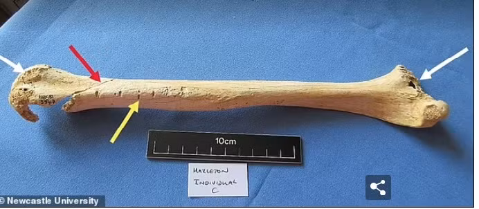 Gia đình này sống trong khoảng thời gian từ năm 3700 trước Công nguyên - 3600 trước Công nguyên.