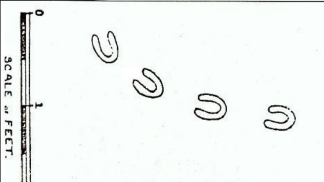 Trước sự việc kỳ bí này, giới chức trách và các chuyên gia bắt tay tìm hiểu nhằm làm sáng tỏ bí ẩn này.