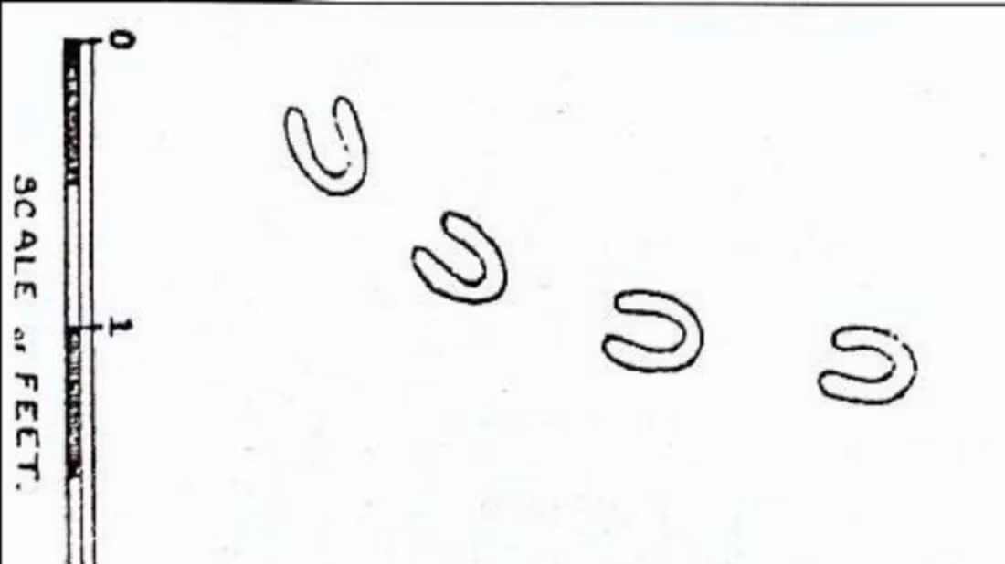 Trước sự việc kỳ bí này, giới chức trách và các chuyên gia bắt tay tìm hiểu nhằm làm sáng tỏ bí ẩn này.