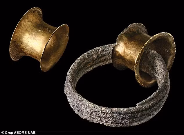 Nhiều đồ tùy táng trong mộ được làm từ bạc - một trong những thứ giá trị nhất thời đó phần nào cho thấy sự giàu có của chủ nhân ngôi mộ.