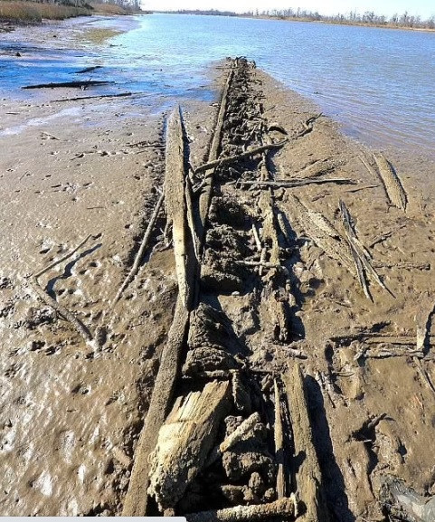 Kết quả kiểm tra của các chuyên gia cho thấy 2/3 xác tàu Clotilda còn nguyên vẹn. Phần còn lại bị hư hại hoặc phá hủy do bị đốt cháy năm 1860.