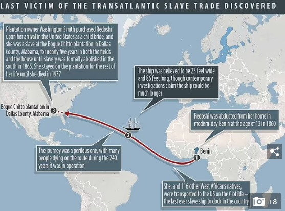 Kể từ đó đến nay, các chuyên gia tiến hành lấy các mẫu gỗ nhằm kiểm tra các loài thủy sinh sống trong xác tàu cũng như tìm kiếm các manh mối giúp làm sáng tỏ câu chuyện về những người nô lệ trên tàu Clotilda.