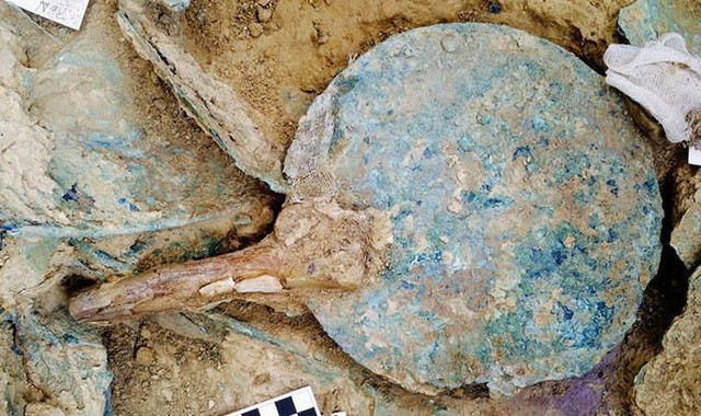 Người này được gọi là "chiến binh Griffin" xuất phát từ việc một tấm bảng ngà được phát hiện trong mộ cổ có khắc hình sinh vật thần thoại Griffin.