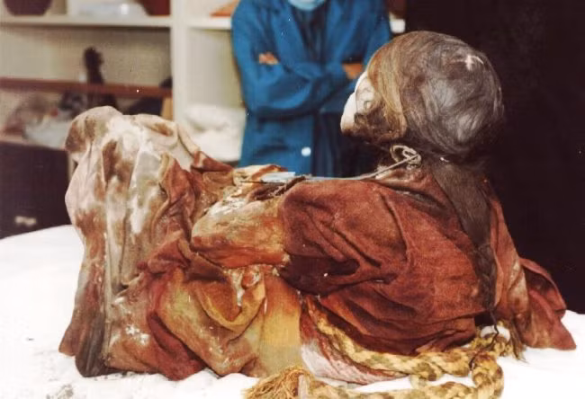 Ông Reinhard vô cùng bất ngờ vì xác ướp vô cùng nguyên vẹn và trông giống như mới qua đời cách đây không lâu. Mái tóc đen dày, làn da trên bàn tay vẫn còn thấy rõ từng sợi lông tơ thấy rõ bằng mắt thường khiến giới khảo cổ kinh ngạc.