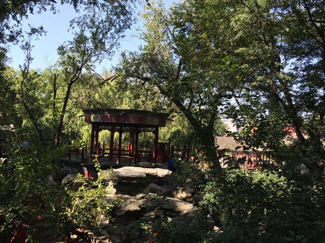 Kim Tơ Nam Mộc thường được vua chúa và hoàng tộc nhà Thanh sử dụng. Ấy vậy mà Hòa Thân lại sử dụng loại gỗ quý này để xây biệt phủ.