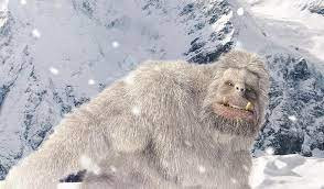 Trước những câu chuyện về người tuyết, một số chuyên gia, người dân sinh sống gần dãy Himalaya đã tổ chức các cuộc săn lùng sinh vật huyền bí này. Tuy nhiên, đến nay, họ vẫn chưa tìm ra tung tích của người tuyết hay bằng chứng xác thực giúp chứng minh sinh vật này có thật.