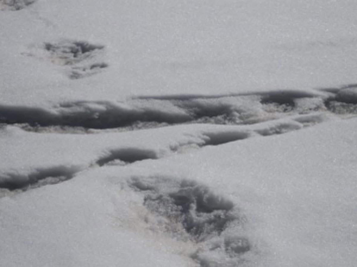 Năm 2004, một nhóm leo núi Himalaya tuyên bố đã nhìn thấy người tuyết. Khi sinh vật này bỏ đi, họ phát hiện một số dấu chân lớn có chiều dài khoảng 43 cm in trên mặt đất.