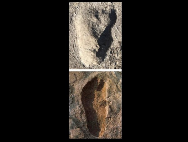 Các bước bình thường cũng cho thấy 2 bàn chân di chuyển khá gần nhau. Đây được cho là bằng chứng quan trọng về việc đi bằng 2 chân của loài người.