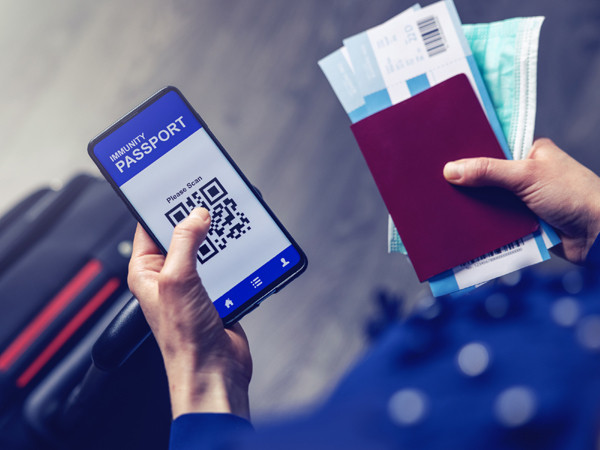 Hộ chiếu vắc xin thể hiện thông tin cơ bản cá nhân (bao gồm họ và tên và ngày sinh kết hợp với giấy tờ định danh khác như CMND, CCCD, quốc tịch), tên bệnh dịch mà chứng nhận nhắm tới, số mũi đã tiêm, cùng các thông tin về loại vắc xin, số lô, ngày tiêm vắc xin...