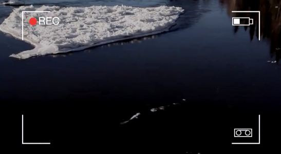 Dù vậy, những người tin vào sự tồn tại của sinh vật huyền bí nỗ lực tìm kiếm các manh mối giúp xác định sự tồn tại của thủy quái ở sông Chena.