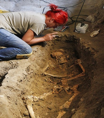 Sở dĩ các chuyên gia đưa ra suy đoán này là vì phương pháp định tuổi bằng cacbon phóng xạ cho thấy bộ xương thuộc về người phụ nữ qua đời tầm tuổi của Lisa Gherardini.