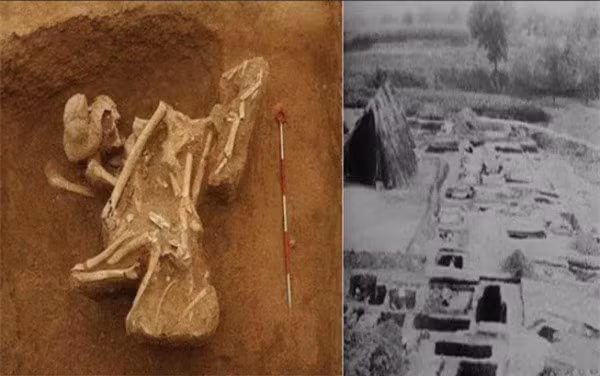 Trong số này, 7 ngôi mộ chứa hài cốt của con người. Những dấu vết trên hài cốt cho thấy toàn bộ đều có cái chết đau đớn do bị giết hại theo các cách thức rùng rợn như chặt đầu, phanh thây. Số mộ cổ còn lại chứa những đồ tùy táng, không phát hiện có thi hài.