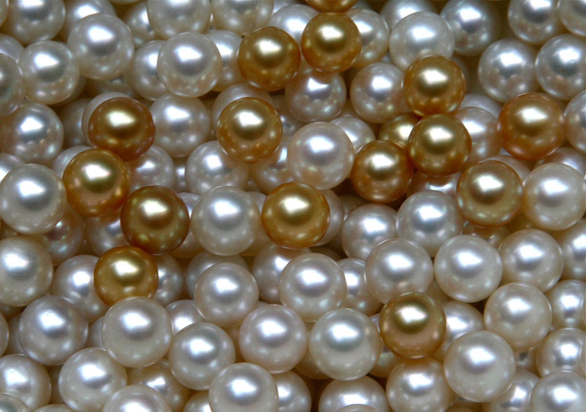 Dù vô cùng quý hiếm nhưng giới chuyên gia cảnh báo ông lão rằng không thể sở hữu nó.