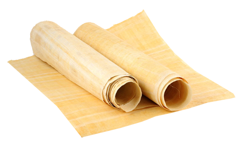 Các chuyên gia nhận định giấy papyrus đẹp nhất, tốt nhất là được làm từ lớp phía trong cùng lấy từ cây papyrus mọc ở vùng châu thổ sông Nile.