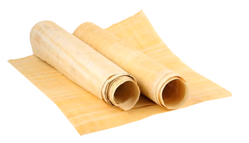 Các chuyên gia nhận định giấy papyrus đẹp nhất, tốt nhất là được làm từ lớp phía trong cùng lấy từ cây papyrus mọc ở vùng châu thổ sông Nile.