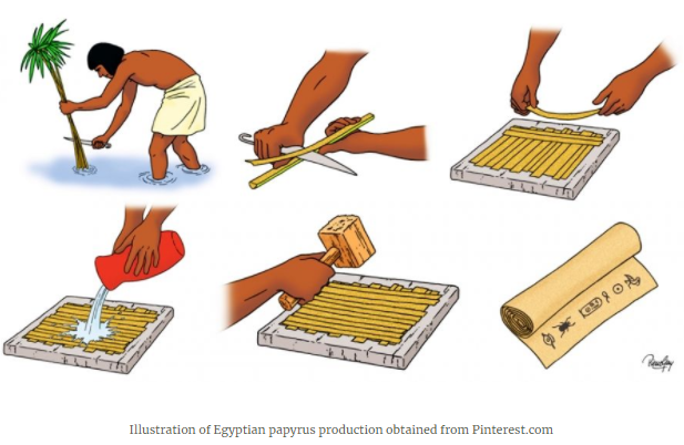 Theo các nhà nghiên cứu, người Ai Cập thời cổ đại làm ra giấy từ cây cói Cyperus papyrus. Loại cây này cao khoảng 2 - 3m mọc nhiều 2 bên bờ sông Nile.