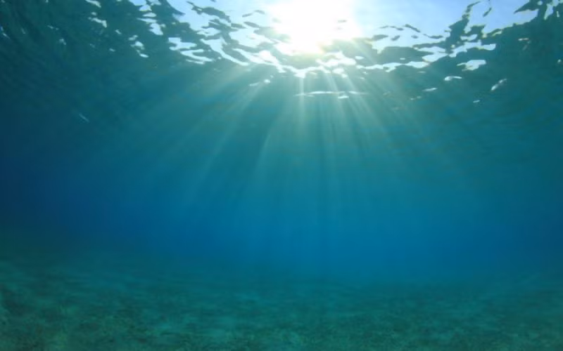 Sở dĩ Mỹ, Trung Quốc và Nhật Bản chạy đua khai thác "kho báu" này là vì uranium là nguyên tố phóng xạ tự nhiên. Nó thường được dùng để làm nhiên liệu cho các nhà máy điện hạt nhân.