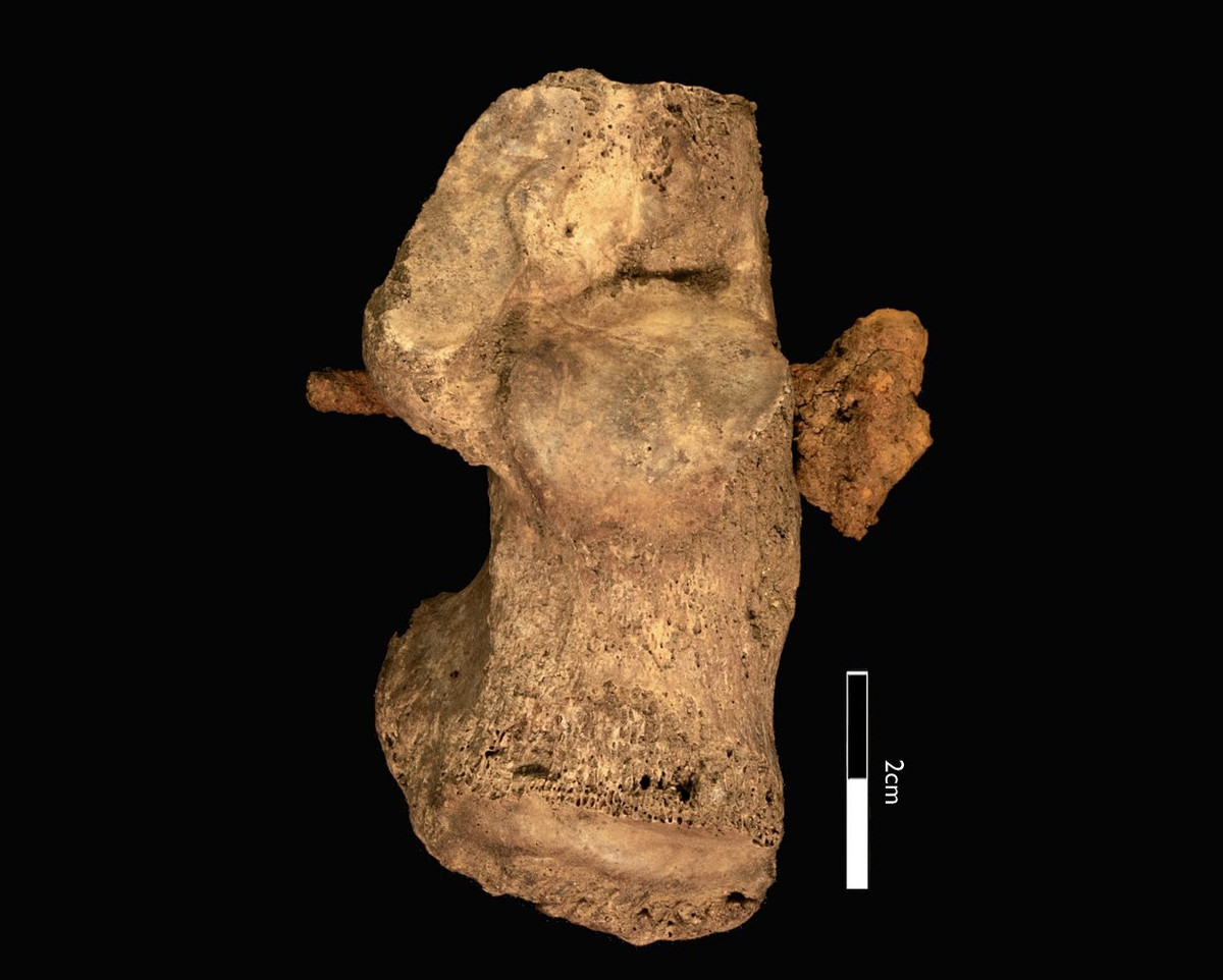 Vào năm 212, quyền công dân La Mã được mở rộng tới tất cả những người tự do sống tại đế quốc La Mã. Khi ấy, hình phạt đóng đinh vào thập tự giá thường không áp dụng cho công dân La Mã.