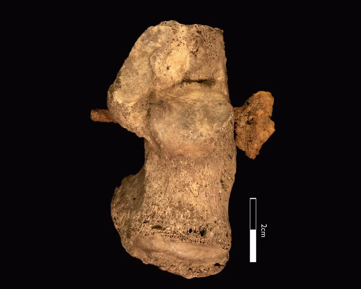 Vào năm 212, quyền công dân La Mã được mở rộng tới tất cả những người tự do sống tại đế quốc La Mã. Khi ấy, hình phạt đóng đinh vào thập tự giá thường không áp dụng cho công dân La Mã.