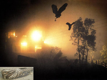 Cụ thể, cứ vào tháng 9 - 10 hàng năm, hàng trăm con chim tại ngôi làng Jatinga có hành động bất thường. Chúng bay thành vòng tròn vào khoảng 18h - 21h30 tối trước khi đột nhiên rơi xuống đất trong tình trạng không hề tỉnh táo.