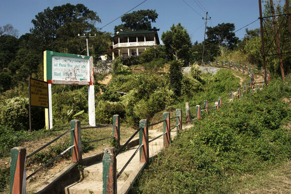 Bi an ngoi lang hang ngan con chim tim ve 