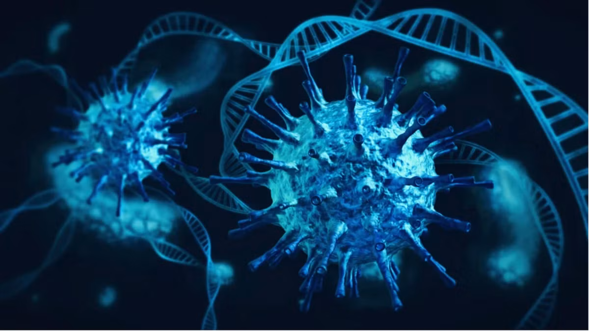 Theo Tiến sĩ Kerkhove, 2022 có thể là năm kết thúc đại dịch COVID-19. Chúng ta đã có các biện pháp để chiến thắng dịch bệnh này, bao gồm vắc xin ngừa COVID-19. Theo đó, số ca tử vong vì COVID-19 sẽ giảm.