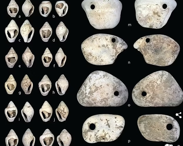 Các chuyên gia tiến hành một loạt kiểm tra và phát hiện Neve qua đời khi khoảng 40 - 50 ngày tuổi.