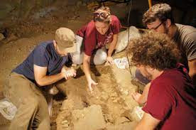 Theo nghiên cứu của các chuyên gia, một số đồ tùy táng trong mộ của Neve có thể được các thành viên trong gia đình truyền lại qua các thế hệ.