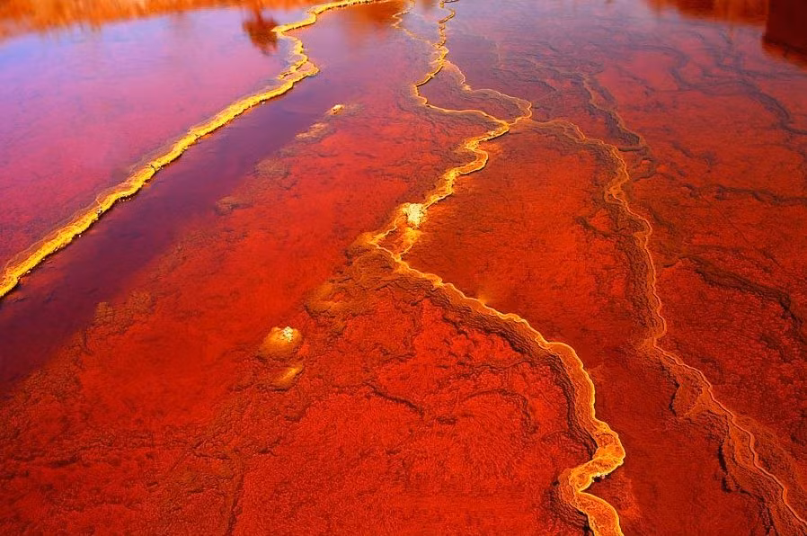 Do đó, dòng sông Rio Tinto trở thành một môi trường khắc nghiệt và chỉ có vài dạng sống như vi khuẩn, tảo thích nghi được. Sự hiện diện của chúng góp phần nhỏ vào màu đỏ của nước.