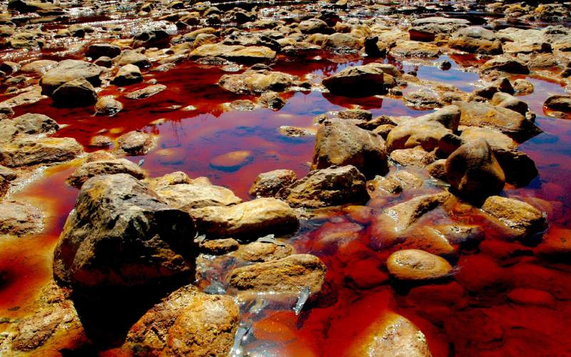 Trong những năm qua, nhiều du khách ghé thăm và chiêm ngưỡng màu sắc lạ của sông Rio Tinto cũng như tìm hiểu vể sự độc đáo của nơi đây.