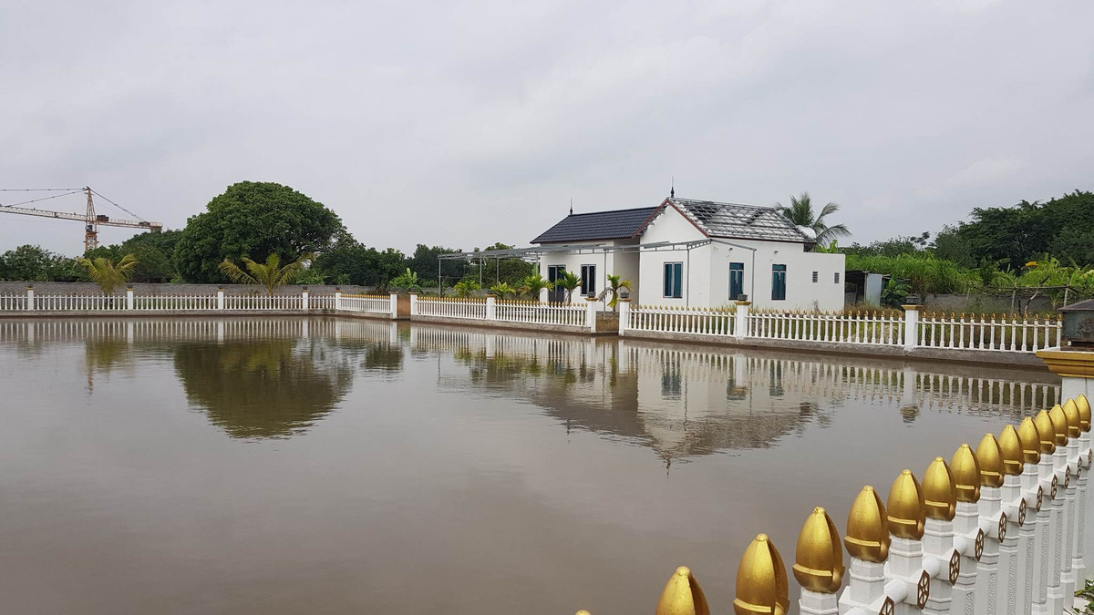 Bi thu xa An Thuong bi to cao, Chu tich tinh chi dao lam ro-Hinh-2