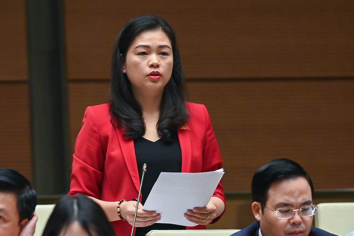  Đại biểu Đoàn Thị Lê An - Đoàn Cao Bằng: “Dự án Luật có phạm vi điều chỉnh rộng; cần phân biệt rõ phạm vi điều chỉnh với các luật chuyên ngành khác như Luật Phòng chống thiên tai, Luật Phòng chống bệnh truyền nhiễm, Luật An toàn thông tin mạng…”.