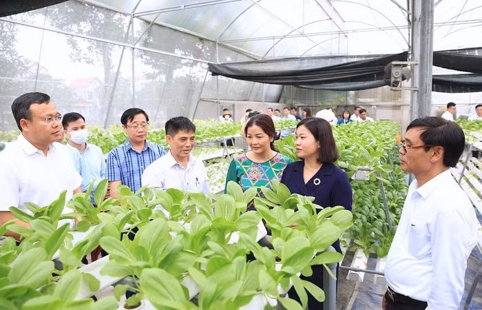 Gia tang san xuat, tao dot pha cho su tang truong Nong nghiep Ha Noi