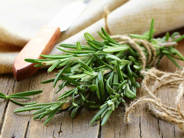 Vào năm 2019, một nghiên cứu được đăng trên Tạp chí Khoa học Phân tử Quốc tế đã đánh giá tác dụng chống khối u của cỏ xạ hương. Ảnh: BS.