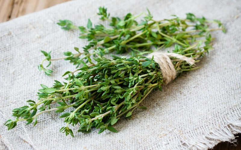 "Nhiều nghiên cứu đã chứng minh rằng các sản phẩm thực vật trong chế độ ăn uống ảnh hưởng đến sự phát triển và tiến triển của bệnh ung thư. Ai cũng biết rằng chất hóa học thực vật có hoạt tính chống oxy hóa, chống viêm và điều hòa miễn dịch có thể làm giảm sự phát triển và lây lan của tế bào ung thư", tác giả nghiên cứu nhấn mạnh. Ảnh minh họa.