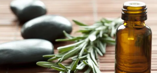 Các nhà nghiên cứu nhấn mạnh rằng có nhiều tài liệu từ các nghiên cứu trên động vật và tế bào chứng minh khả năng chống ung thư của chiết xuất hương thảo và các thành phần của nó. Ảnh: NDTV.