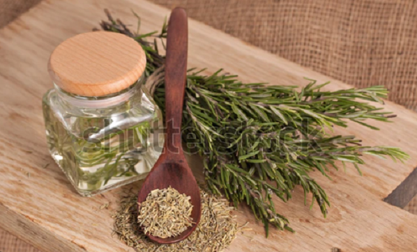 Theo Đại học bang Ohio, hương thảo rất giàu carnosol, một chất hóa học thực vật có thể làm chậm sự phát triển của tế bào ung thư, tăng cường chức năng miễn dịch, hạn chế sản xuất các hormone liên quan đến ung thư và hoạt động như một chất chống oxy hóa. Ảnh: SS.