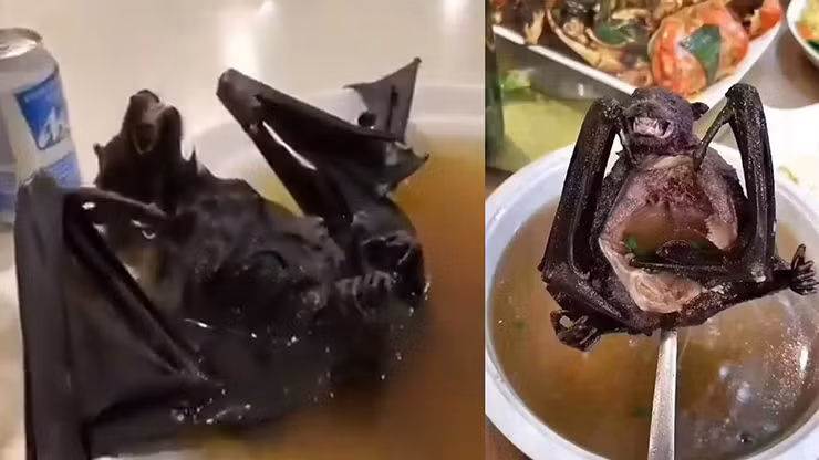 Tại một số vùng ở Ghana, người dân chọn ăn thịt dơi thay cho thịt gà. Dơi chủ yếu sống về đêm, ăn trái cây và côn trùng, mùi vị của nó rất đặc biệt, song không phải ai cũng dám thưởng thức. Ngoài ra, món ăn kinh dị này tiềm ẩn nhiều nguy cơ đối với sức khỏe.