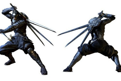 Ninja là những cá nhân hay tổ chức đánh thuê chuyên về hoạt động bí mật từng tồn tại trong lịch sử Nhật Bản từ thời kỳ Kamakura đến thời kỳ Edo. Các nhiệm vụ của ninja bao gồm gián điệp, phá hoại, xâm nhập, ám sát, thậm chí có thể tham gia tập kích đối phương trong một vài trường hợp nhất định. Ninja thường sử dụng phi tiêu và kiếm để thực hiện sứ mệnh vì các vũ khí đó dễ mang theo, dễ di chuyển và hoạt động. Đặc biệt, ninja rất quả quyết và dũng cảm. Họ luôn bàn tính kỹ trước khi hành động. Khi nhiệm vụ thất bại, mỗi ninja phải tự kết liễu mạng sống để tránh làm lộ bí mật của tổ chức.