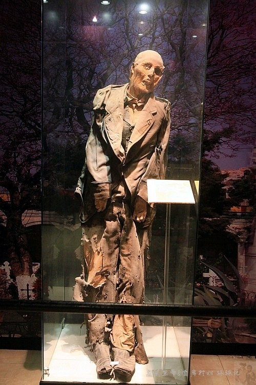 Mỗi tuần, bảo tàng thu hút khoảng 4.000 lượt khách du lịch.