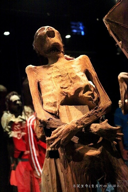 Bảo tàng thuộc phạm vi quản lý của nhà nước Mexico.