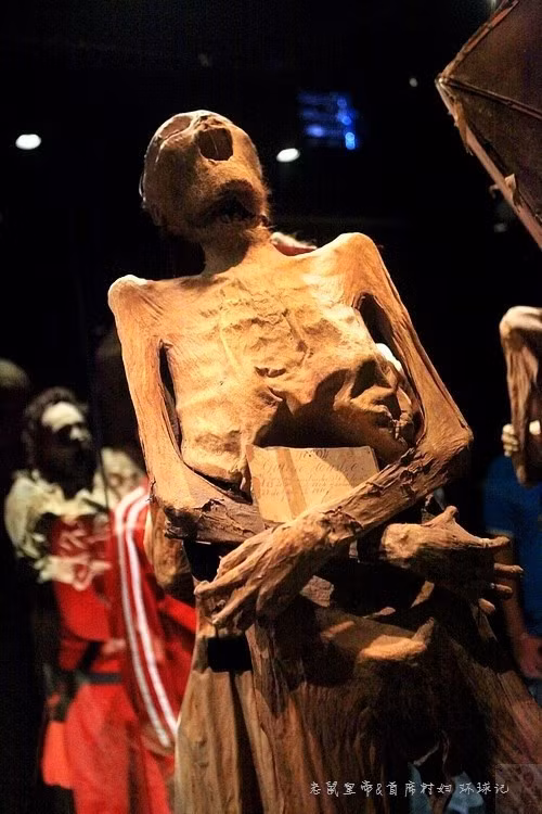 Bảo tàng thuộc phạm vi quản lý của nhà nước Mexico.