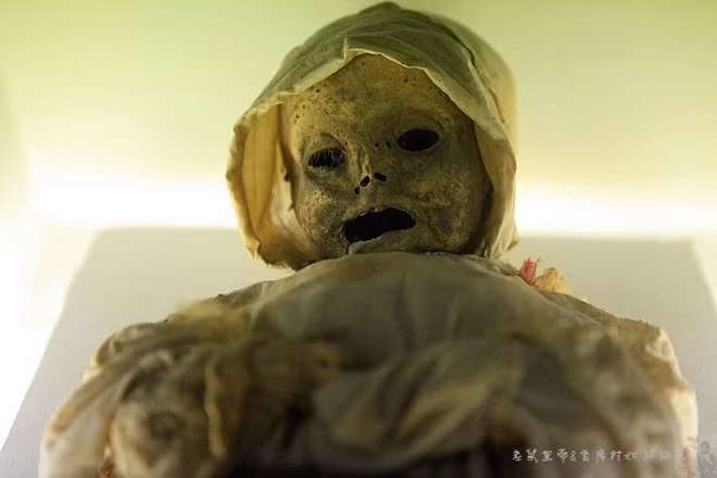 Tham hiem bao tang xac chet kinh di nhat hanh tinh