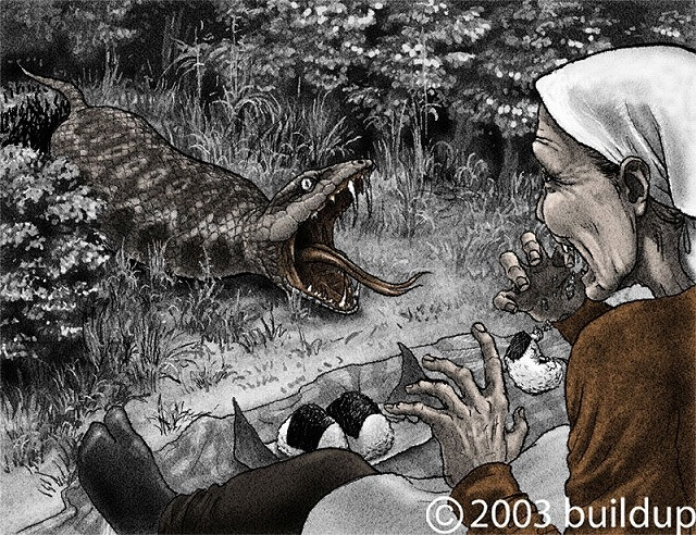 Tương truyền, Tsuchinoko có răng nanh và nọc độc nguy hiểm chết người giống như các loài rắn độc.