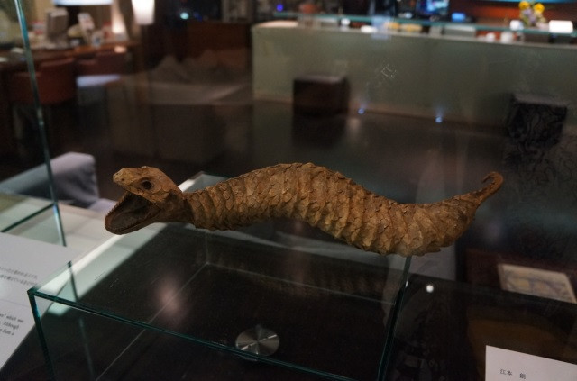 Tsuchinoko thỉnh thoảng cuộn tròn cơ thể, thậm chí ngậm đuôi của mình.