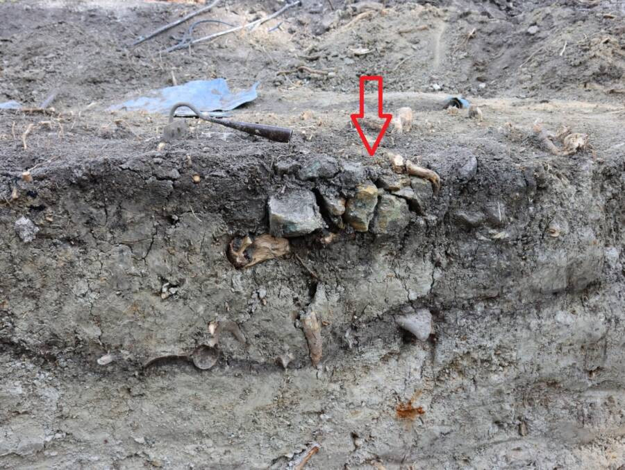 Tiến sĩ Stanislaw Golub, nhà khảo cổ dẫn đầu cuộc khai quật cho hay những phát hiện trên cho thấy đây là bằng chứng về tập tục chôn cất đứa trẻ để ngăn trở thành ma cà rồng sau khi chết.