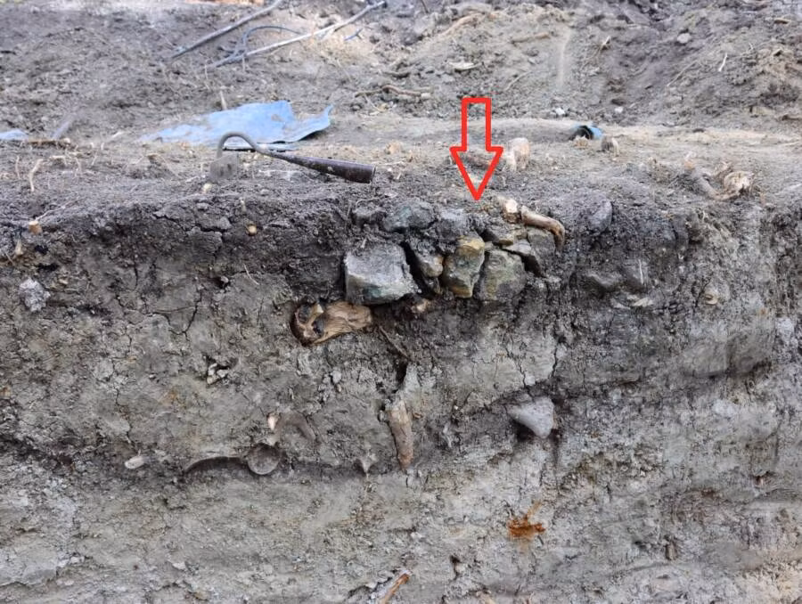 Tiến sĩ Stanislaw Golub, nhà khảo cổ dẫn đầu cuộc khai quật cho hay những phát hiện trên cho thấy đây là bằng chứng về tập tục chôn cất đứa trẻ để ngăn trở thành ma cà rồng sau khi chết.