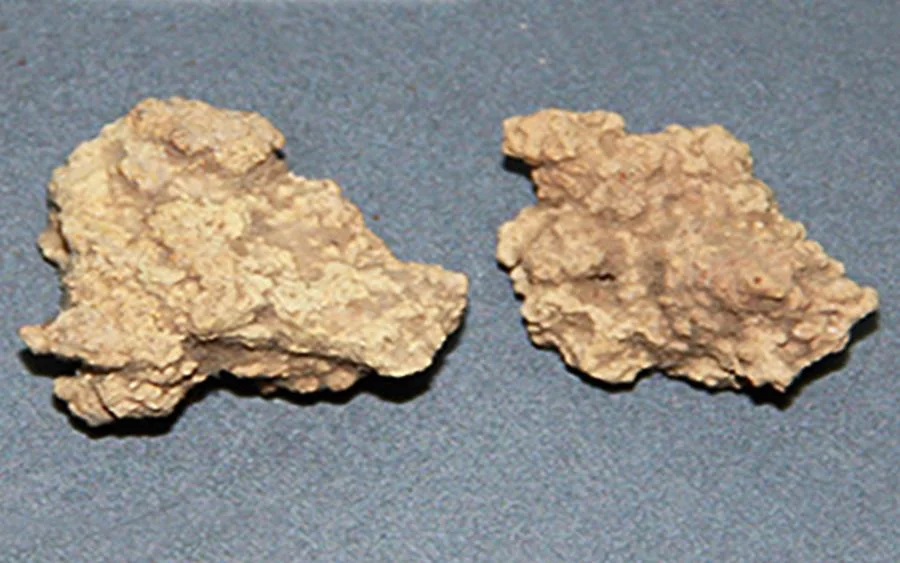 Nghiên cứu của các chuyên gia chỉ ra rằng, người dân sống cách đây khoảng 3.500 năm không trộn nhiều loại sữa lại với nhau khi làm phô mai kefir. Họ tin rằng, cách làm phô mai kefir của người dân khi đó khá giống như thời hiện đại và được truyền từ đời này sang đời khác. Ảnh: Y, Liu et al., Cell, 2024.