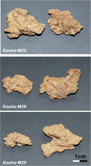 Việc nghiên cứu chi tiết pho mát lâu đời nhất thế giới được chôn cùng các xác ướp ở lưu vực Tarim giúp giới chuyên gia hiểu rõ hơn về chế độ ăn uống và văn hóa của người xưa. Ảnh: gigazine.