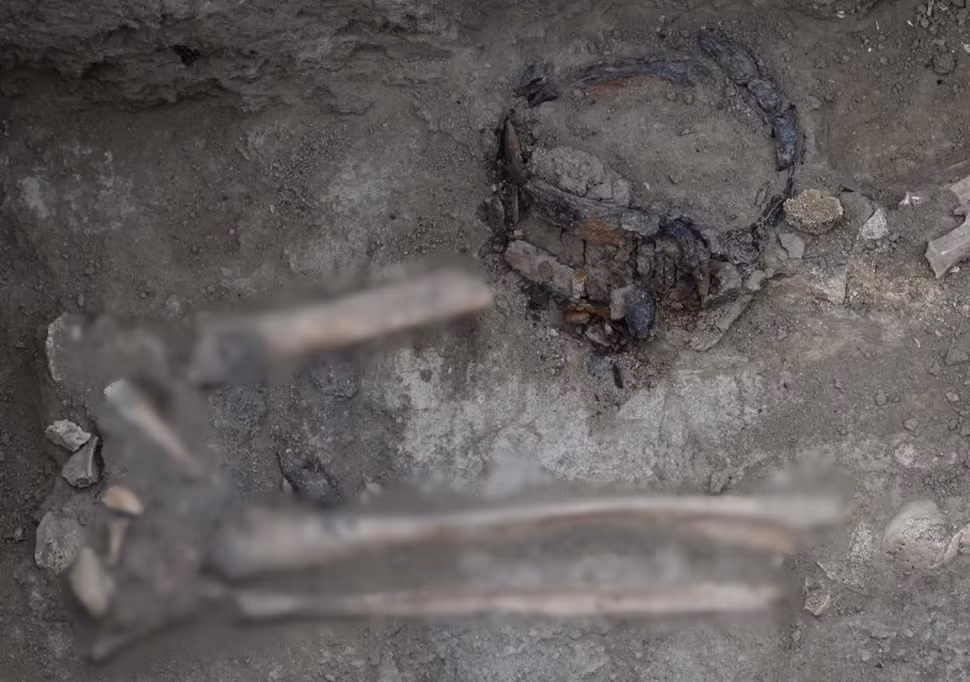 Bi an nhung go chon cat 'mai vom' o Kazakhstan-Hinh-2